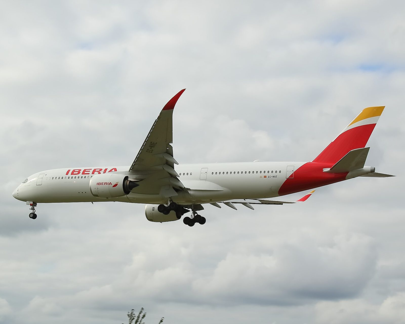 Iberia fly